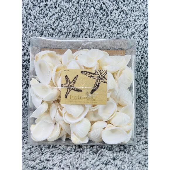 Seashells Box Arts & Crafts Nautical Beach Theme 38 Oz Home Decor New - Picture 1 of 8